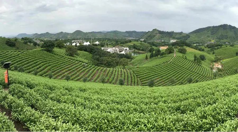 【4天五一小長假攻略】-西尼機電預(yù)祝各位“五一勞動節(jié)”快樂！