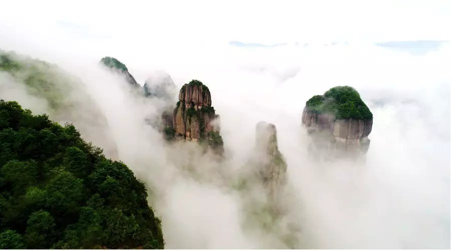 【4天五一小長假攻略】-西尼機電預(yù)祝各位“五一勞動節(jié)”快樂！